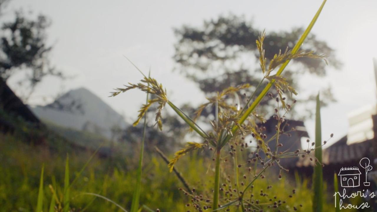 Phori'S House - Bamboo Forest Sapa Εξωτερικό φωτογραφία
