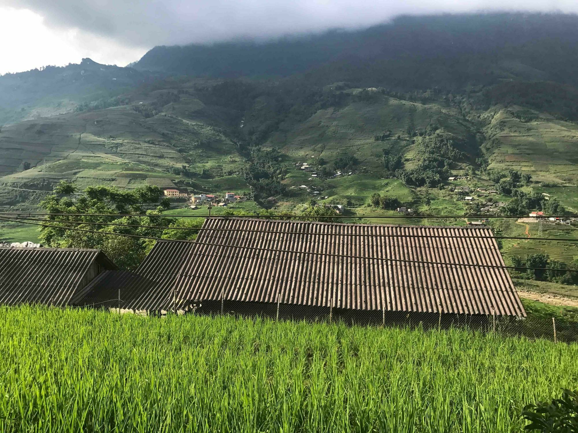 Phori'S House - Bamboo Forest Sapa Εξωτερικό φωτογραφία